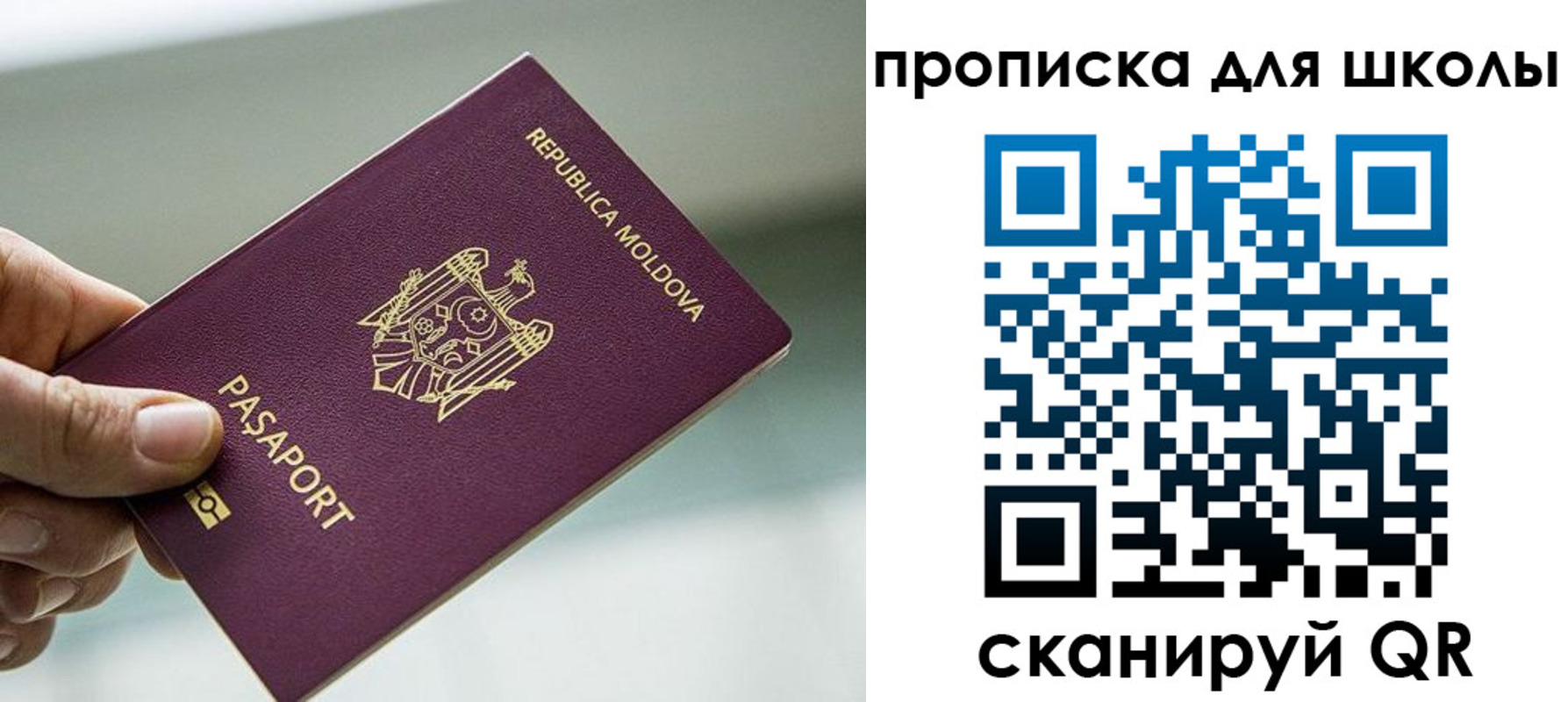 прописка в квартире в Волоколамске